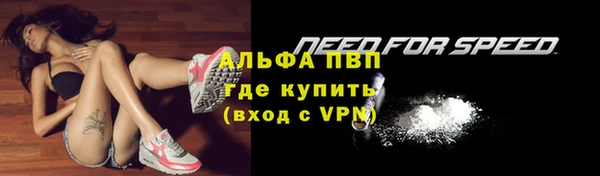 твердый Няндома