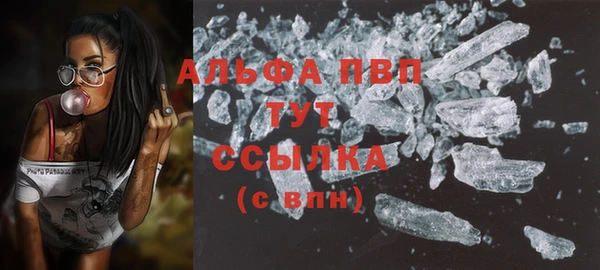 тгк Алексин