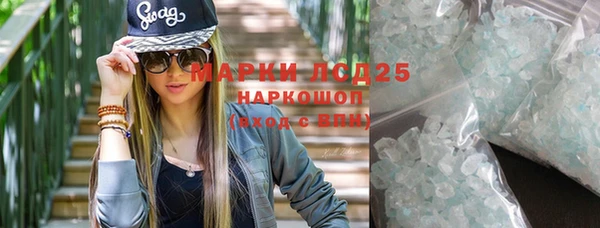 хмурый Алзамай