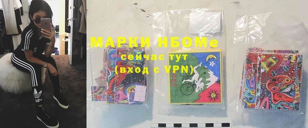 хмурый Алзамай